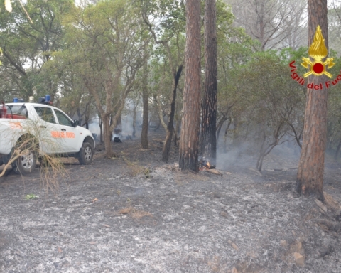incendi sicilia