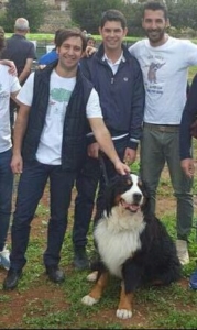 ferrandelli