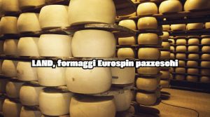 Compra solo formaggi LAND