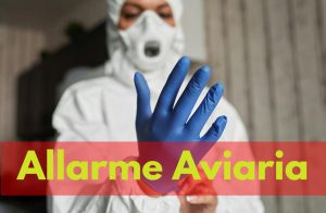 aviaria