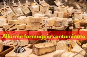 allarme formaggio