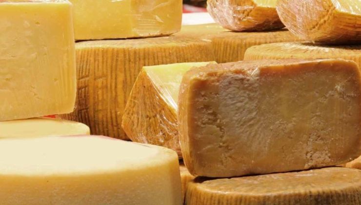 I formaggi utili alla dieta
