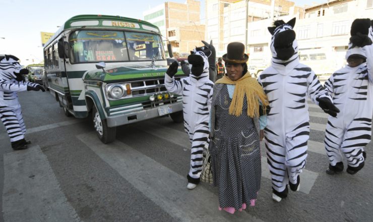 Delle zebre al lavoro nel 2008. (AIZAR RALDES/AFP/GettyImages) - moralizzatore.it