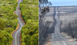 Le due stagioni dell'Australia (web) - moralizzatore.it