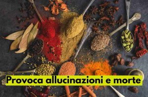 spezie allucinazioni