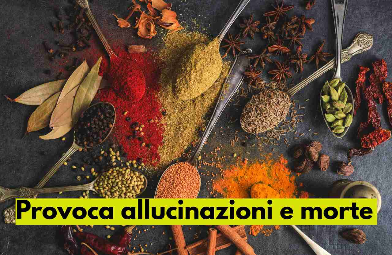 spezie allucinazioni