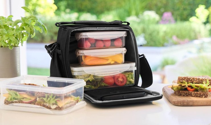 Borsa frigo (Lidl) - moralizzatore.it