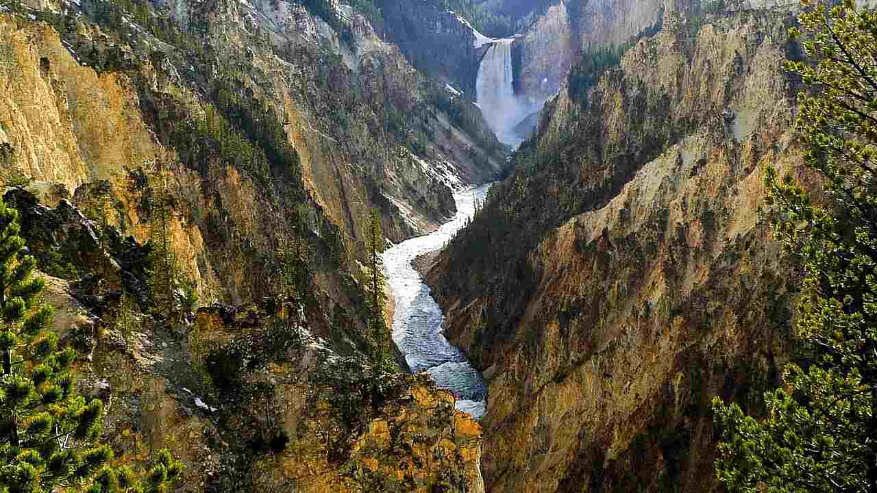 Yellowstone
