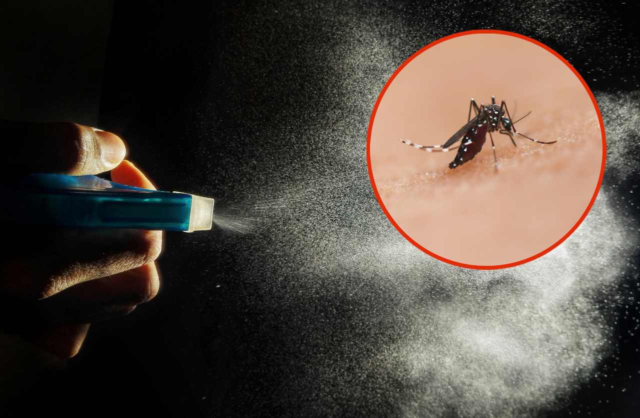 spray anti zanzare