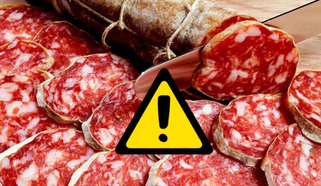 Salmonella insaccati (web) - moralizzatore.it