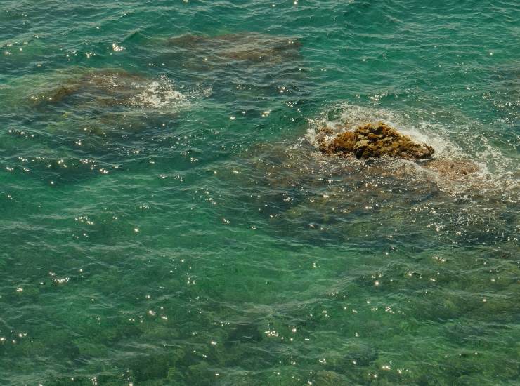 mare