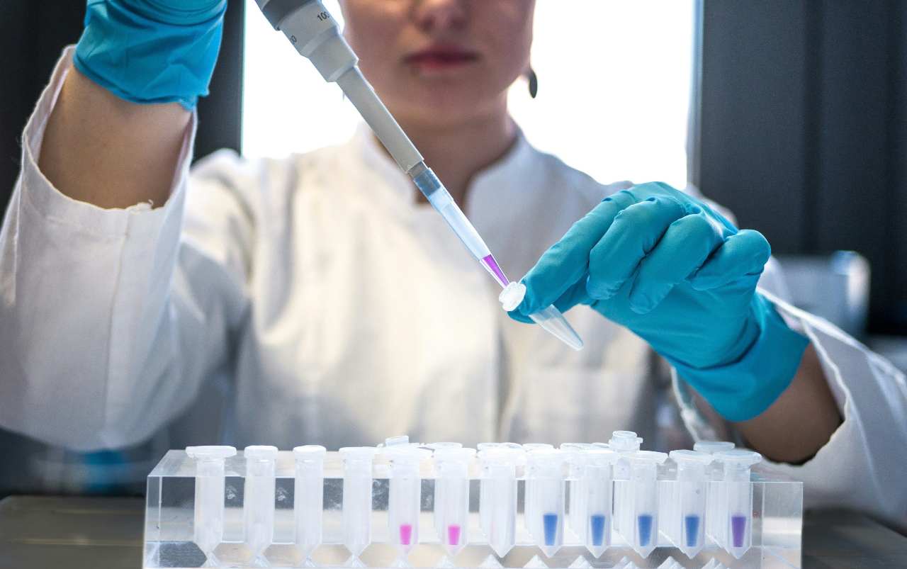 scienza scoperta